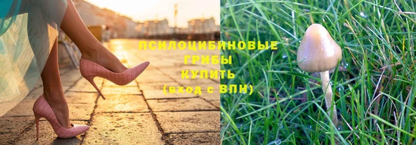 индика Ростов