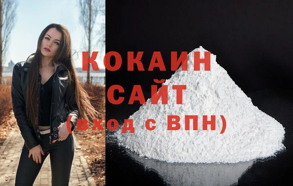 индика Ростов