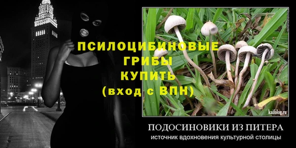 PSILOCYBIN Абинск