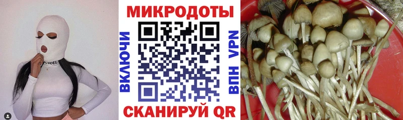 Псилоцибиновые грибы прущие грибы Кириллов